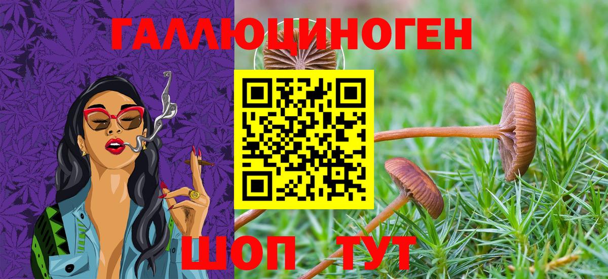 Вологда  Галлюциногенные грибы GOLDEN TEACHER  Вход с VPN  Галлюциногенные грибы Psilocybe 